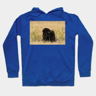 Buffalo at Antelope Island Great Salt Lake Utah Hoodie